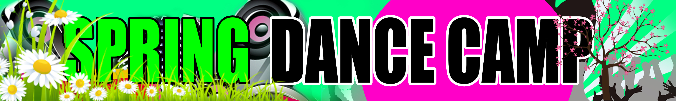 SPRING_DANCE_CAMP_banner_400-2000.jpg