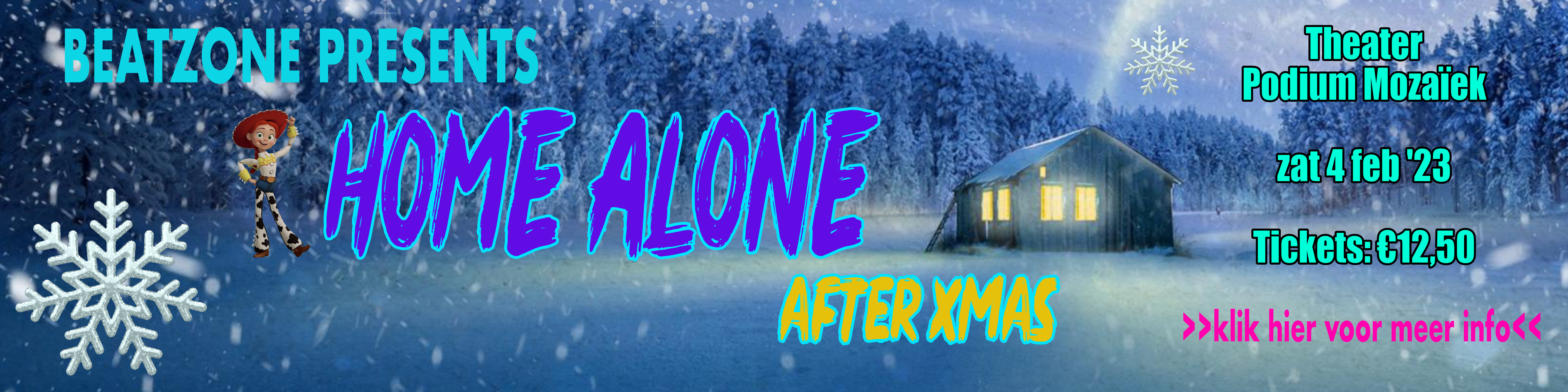 banner_Home_Alone.jpg